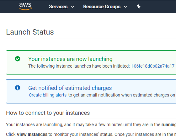 The AWS Launch Status page showing successful launch of an instance