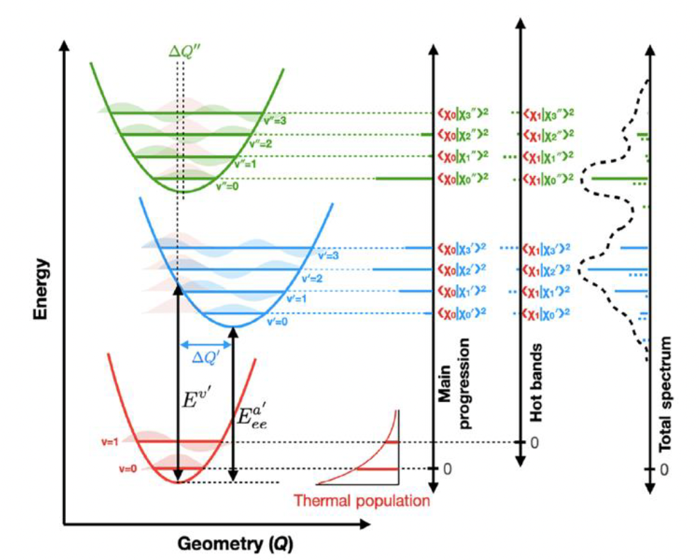 Influence of vibrational modes and thermal population in the electronic excitation spectrum of a molecule.