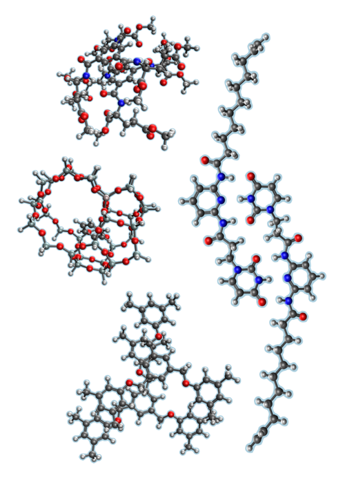 Several large molecules modeled in the JCTC publication.