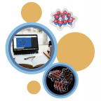 Bubbles containing visualization of molecule and an open laptop with IQmol open on the screen.